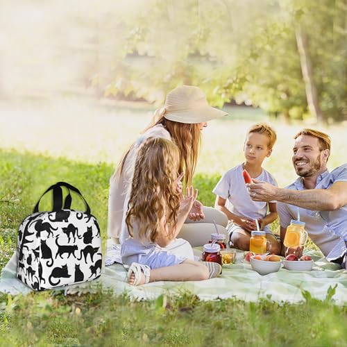 Insulated Lunch Bag, Black Cat Lunch Box for School Student Kids Boys Girls,Leakproof Small Lunch Tote for Adult Men Women,Reusable Lunch Cooler Tote Bag for Office Work Picnic - color: Black Cat