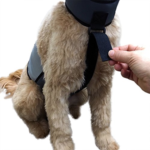 CoolerDog Dog Cooling Vest & Cooling Collar – Ice Vest for Hot Weather Heat Relief, Re-Freezable Pure Water Inserts (Medium 22”–27” Girth) - size: M