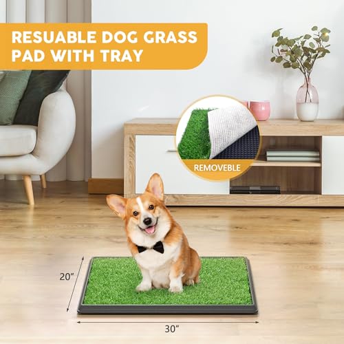 30"x20" Dog Grass Pad with Tray Large for Indoor Puppy PottyTraining with 3PCS Artificial Grass Mats, 1 Washable Pee Pad, Pet Loo Dog Litter Box for Balcony Apartment, 4-Layer System - size: L 30x20x2.8IN-3 Grass Pads