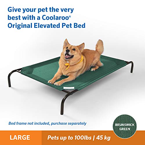 Coolaroo Original Pet Bed Replacement Cover - Brunswick Green - Large (43.5" x 31.5") (Pack of 3) - color: Brunswick Green, size: Large (Pack of 3), style: Large