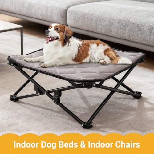 KingCamp Elevated Dog Bed for Medium Dogs, Outdoor Raised Cooling Pet Cot Bed with Washable Breathable Mesh & No-Slip Feet Perfect for Camping, Backyard, Indoor Use (Medium, Black) - size: 30.3"L x 30.3"W x 11.8"Th