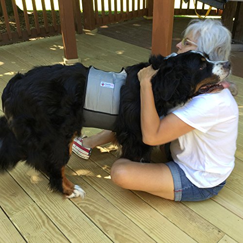 CoolerDog Dog Cooling Vest & Cooling Collar – Ice Vest for Hot Weather Heat Relief, Re-Freezable Pure Water Inserts (Large 27”–34” Girth) - size: L