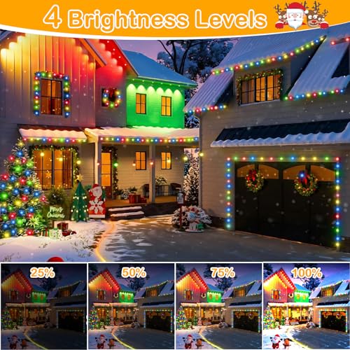 Decute 500LED Christmas Tree Lights Fairy String Light 164FT Green Copper Wire Warm White and Multicolor Dimmable with Remote, UL Cerficated Twinkle Light for Party Wedding Indoor Outdoor Decor - color: Warm White + Multicolor, size: 500LED