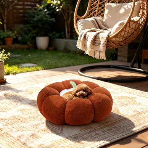 24 Inch Pumpkin Floor Cushion – Large Plush Round Pillow Seat for Living Room, Meditation, Reading & Relaxation – Versatile Seating, Back Support & Pet Bed - Cozy Aesthetic Home Deco