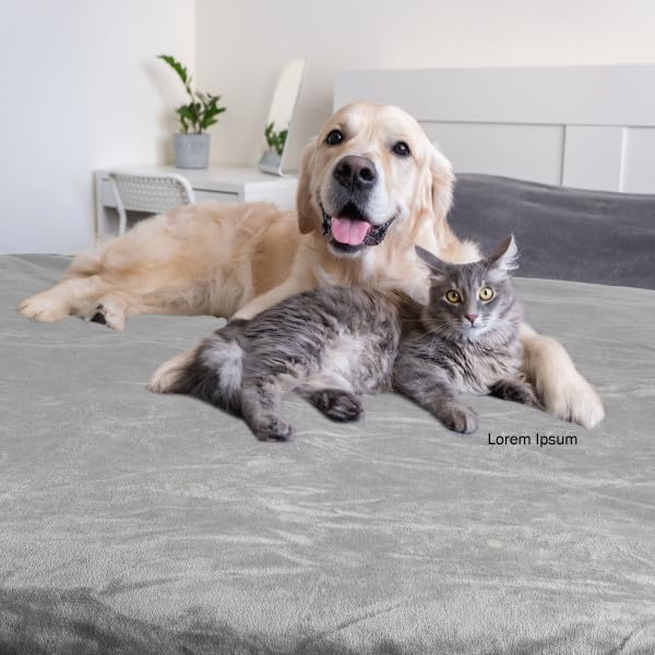 Waterproof Pet Blanket - 50x60-Inch Reversible Sherpa Fleece Throw Protects Couches, Cars, and Beds from Spills, Stains, and Fur by PETMAKER (Gray) - color: Gray, size: Small