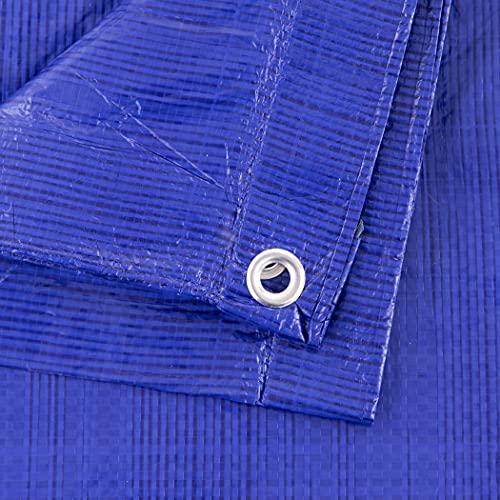 Kotap 8 x 18 ft All-Purpose Multi-Use Protection/Coverage 5-mil Poly Tarp, Waterproof, Blue, 1-Pack (TRA-0818) - color: Blue, size: 8 x 18 Ft.