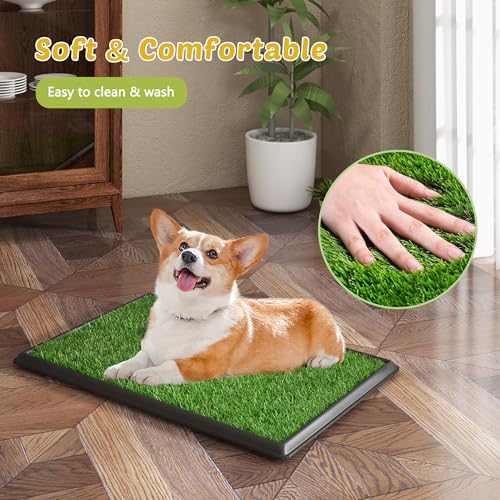 COZIWOW Dog Grass Pad with Tray, 30" x 20" Large Washable Indoor Grass Potty for Puppy Pee Poo Training, Reusable Pet Loo Toilet, 4 Layer System - size: L - 30x20x1.4 IN