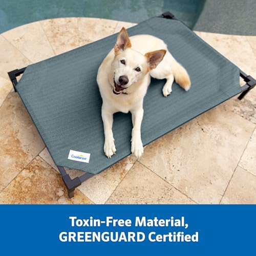Coolaroo Pro Elevated Dog Bed with HeatShield Fabric – Advanced Cooling Raised Cot for Small & Medium Breeds, Easy-Clean, Low-to-Ground Access, Bonus Bolster Pillow – Everglade Green - color: Everglade Green, size: Medium