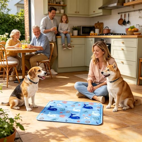 Pet Cooling Mat - 30x40cm, Summer Soft Ice Gel Pad, Pressure-Activated Cold Crate Kennel Bed, Waterproof PVC Comfortable Mat | Heat Relief Cushion for Cats and Dogs, Couch, Sofa, Floor, Cage, Home - size: 30x40cm