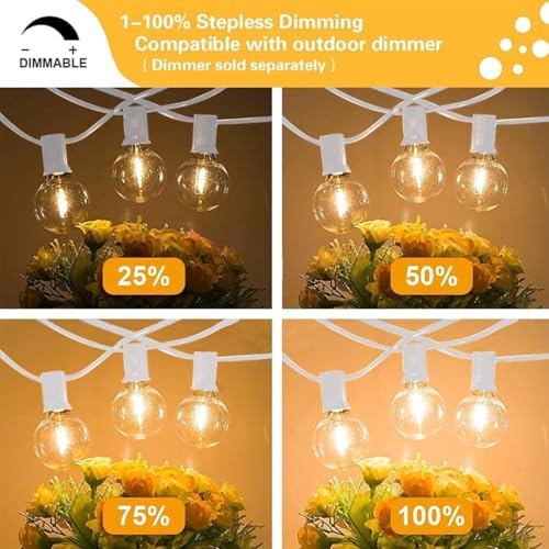 SUNTHIN White Outdoor String Lights, 48FT White Patio Lights with 25 G40 Shatterproof LED Bulbs(1 Spare), Waterproof Hanging Outside Lights for Porch, Deck, Garden, Pergola, Bistro - color: White, size: 48FT