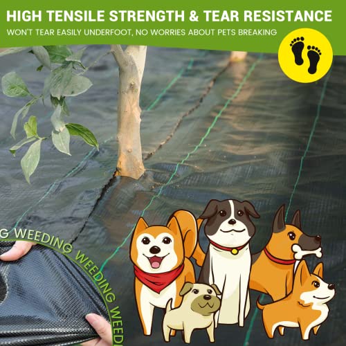 3FT x 300FT Weed Barrier Landscape Fabric Heavy Duty, 3.2oz Gardening Weed Control Mat, Ground Cover Weed Block Gardening Mat, Woven Garden Cloth for Underlayment, Commercial Driveway Fabric - size: 3.2oz-3ft×300ft