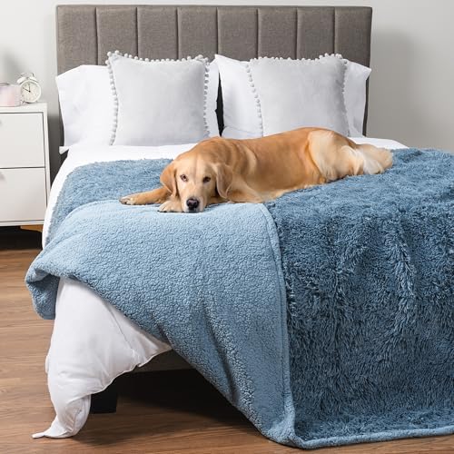 PetAmi Waterproof Dog Blanket for Couch, Bed & Furniture,Reversible Sherpa & Faux Fur Pet Blanket, Leakproof Pet Blanket for Large Dog Cat, Washable Soft Calming Protector Throw (60x80, Light Blue) - color: Dusty Blue, size: X-large (60x80)