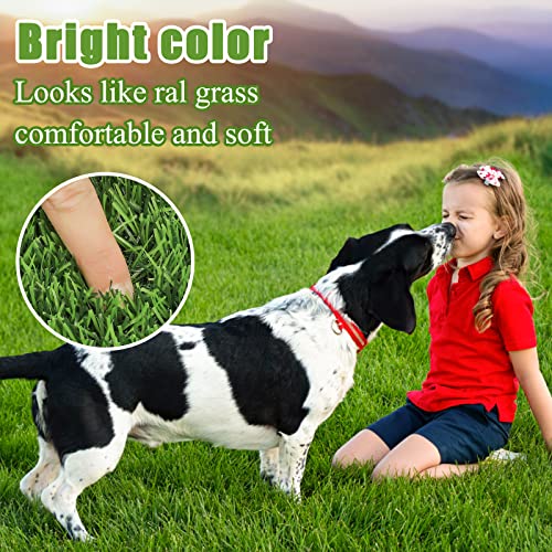 Bsmathom Artificial Grass Rug Indoor Outdoor Rug, 5x8Ft Fake Grass Rug Synthetic Grass Mat Dog Grass Mat with Drainage Holes Fake Grass Rug for Pet, Garden Lawn Landscape, 5x8Ft - size: 5x8 Feet