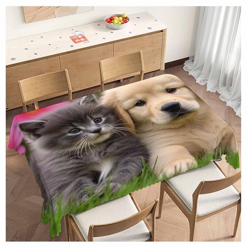 Table Cloth Cat Dog, Cute Funny Farmhouse Soft Table Cover for Kitchen Dining Tabletop Decoration, 52x70 Inch Fitted, 4-6 Seats - color: Cat Dog