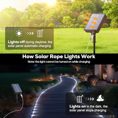 ICRGB Solar Rope Lights, 66FT 200LED 1800mAh Outdoor Waterproof Solar Lights with Remote, IP67 String Light with Timing & 8 Modes for Garden Tree Pathway Yard Pool RV Christmas Decor, White - color: Cool White, size: 66FT