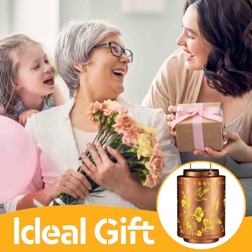 Solar Lanterns Outdoor Waterproof Garden Decor Gifts for Women Mon Grandma Metal Hanging Solar Lights Decoration for Outside LED Lanterns for Yard Patio Lawn Pathway（Hummingbirds） - style: Two hummingbirds