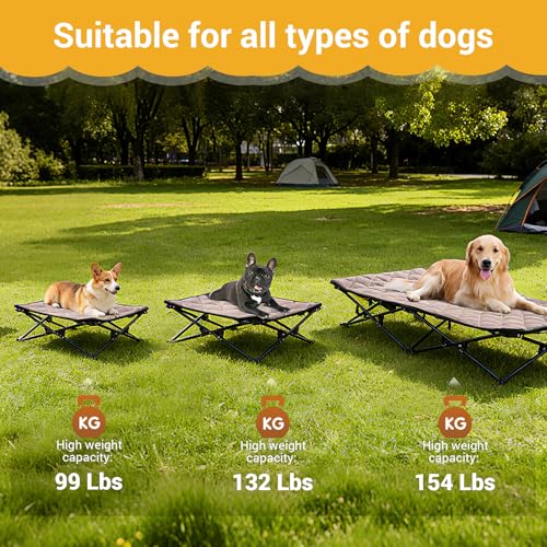 KingCamp Elevated Dog Bed for Medium Dogs, Outdoor Raised Cooling Pet Cot Bed with Washable Breathable Mesh & No-Slip Feet Perfect for Camping, Backyard, Indoor Use (Medium, Black) - size: 30.3"L x 30.3"W x 11.8"Th