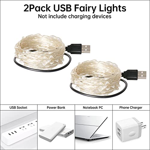 Blingstar USB Powered Fairy Lights, 2 Pack 33Ft 100 LED, Flexible Silver Wire, Mini String Lights for Christmas Tree/Bedroom/Camping/Dorm Indoor Decoration, Cool White - color: Cool White