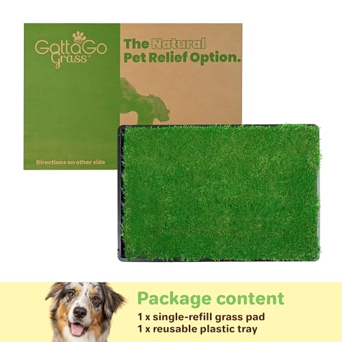BETHEL Gotta Go Grass, Dog Natural Grass Patch Potty, Real Dog Grass for Pet Training, Dog Grass Pad with Tray, Puppy Potty Training, Dog Accessories, Perfect Indoor/Outdoor Portable Potty Pet Loo - size: 1 Pack, With Tray