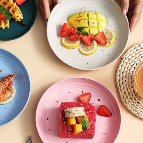 2Pcs Wheat Straw Plates, Unbreakable Dinner Plates, Reusable Plate Dishwasher & Microwave Safe Black - color: Black