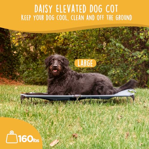 CANINE CANYON Daisy Cot, Large Foldable Elevated Dog Bed, Portable Raised Outdoor Folding Dog Cot, Cooling, Chew Proof, Waterproof, Heavy Duty Up to 160 lbs for Camping/Home, Grey, 43"x 27"x7" - color: Gray, size: Large