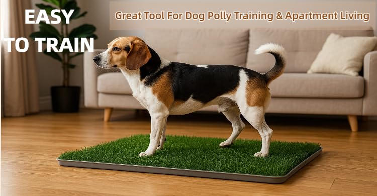 Large Dog Grass Pad with Tray, 34x22 Inch Puppy Potty Training System with Artificial Grass & Pheromone Pee Pad, Non-Slip Silicone Base for Easy-Clean Indoor Outdoor Use