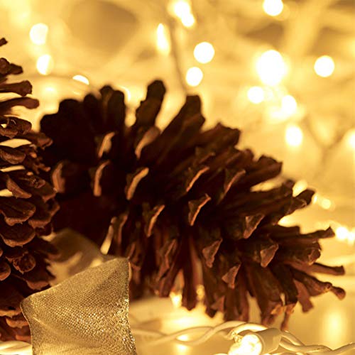 HISHINY Christmas Lights 100 Count Mini Clear Lights 32ft White Wire Christmas Tree String Lights Set for Outdoor Indoor Christmas Decorations Wedding Valentines Day Decor,UL Certified (32feet) - size: 32ft