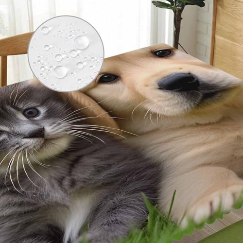 Table Cloth Cat Dog, Cute Funny Farmhouse Soft Table Cover for Kitchen Dining Tabletop Decoration, 52x70 Inch Fitted, 4-6 Seats - color: Cat Dog