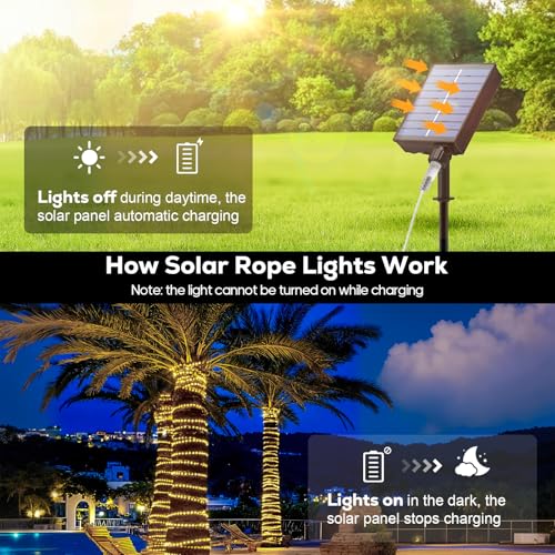 ICRGB Solar Rope Lights Outdoor, 66FT 200LED Christmas Fairy Light with Remote, IP67 Waterproof Solar String Lights, Timing & 8 Modes, Outdoor Light for Garden Patio Porch Pool, Warm White - color: Warm White, size: 66FT