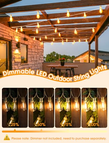 Larkvue 50FT(2x25FT) Outdoor String Lights, Patio Lights with 20+2 LED Dimmable Waterproof ST38 Vintage Bulbs for Wedding Garden Party Decor, White - color: White, size: 50FT