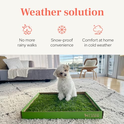 DoggieLawn Real Grass Puppy Pee Pads - Potty Training Pads for Dogs & Puppies - Indoor Grass Dog Potty for Apartments & Bad Weather - Natural Living Grass - Standard 24 x 16 Inches - Made in USA - size: Standard 24x16