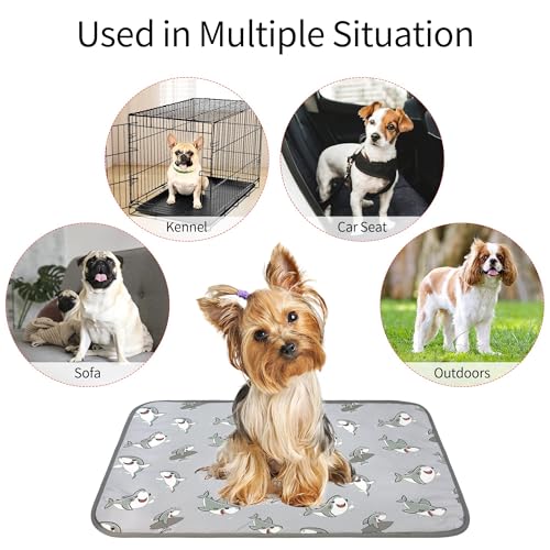 DELIFUR Cat Cooling Mat- Pet Cooling Mat Outdoor for Dogs Self Pad for Kitten Cat Puppy Machine Washable (Medium, Grey Shark) - color: Grey Shark, size: M: 27.5" x 19.5"