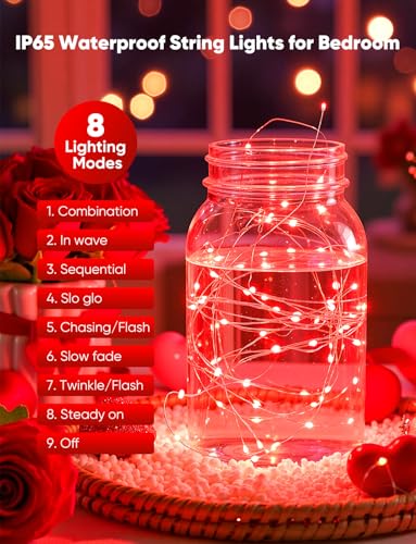 Minetom 12 Pack Red Christmas Lights, 7ft 20 LED Fairy Lights Battery Operated String Lights, Valentines Day Decorations, 8 Modes Waterproof Silver Wire Twinkle Lights, Valentine's Day Lights - color: Red, size: 12 Pack