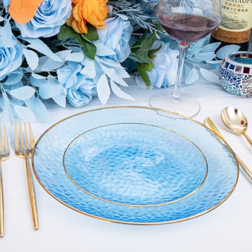 Rubtlamp 60Pcs Clear Blue Plastic Plates, Hammered Blue Plates, Clear Fancy Disposable Plates With Gold Rim Include 30 Dessert Plates, 30 Dinner Plates for Party - color: Clear Blue Gold