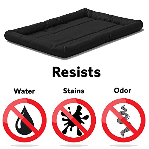 MidWest Homes for Pets Medium QuietTime MAXX Ultra-Rugged Dog Bed, Water & Odor Resistant, Bolstered Edge, Non-Slip Bottom, Fits 30-inch Crates, Black - color: Black, size: 30 Inch