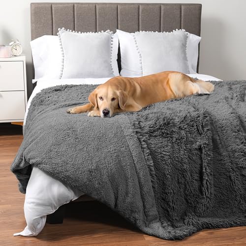 PetAmi Waterproof Dog Blanket for Couch, Queen Bed & Furniture,Reversible Sherpa & Faux Fur Pet Blanket, Leakproof Blanket for Large Dog Cat, Washable Soft Calming Couch Protector Throw (90x90, Gray) - color: Grey, size: Queen (90x90)