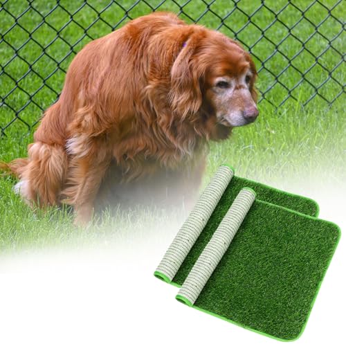 QWORK Artificial Dog Grass Pee Pad, 2 Pcs, 20"x25" Washable, Reusable Turf with Superior Drainage, High Water Permeability