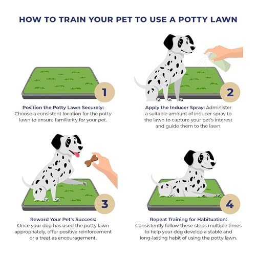 PawLyfe Potty Lawn - 20"x25" Artificial Grass Patch with Tray - Indoor and Outdoor Reusable Grass Pee Pad for Dog Training - Non-Toxic - Easy to Clean - Perfect for Apartments and on Balcony or Porch