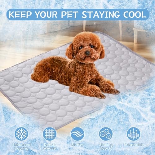 Dog Cooling Mat,2025 Upgrade Pet Cooling Mat for Dogs Cats,Summer Ice Silk Cool Mats & Sleeping Pad for Indoor or Outdoor,Perfect as Blanket for Kennel Sofa Bed Floor Car (Grey, Small, 19.6"x15.7") - color: Grey, size: Small