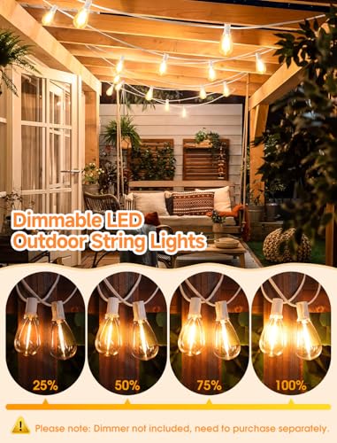 Larkvue 25FT LED Outdoor String Lights, 10+1 Edison S11 Dimmable Bulb Waterproof Shatterproof Patio Lights, Linkable Hanging Strand for Yard, White - color: White