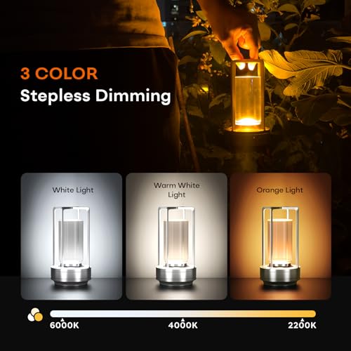 Portable Metal Table Lamp for Indoor/Outdoor ,Rechargeable Cordless LED Lamp, 3-Colour Infinitely Dimming Battery Powered Small Desk Lamp, Restaurant/Bedroom/Bar/Coffee/Camping Light (Sliver Set of 2) - color: Sliver Set of 2