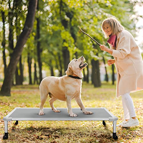 Veehoo Chew Proof Elevated Dog Bed - Cooling Raised Pet Cot - Silver Aluminum Frame and Durable Textilene Mesh Fabric, Unique Designed No-Slip Feet for Indoor or Outdoor Use, Grey, Large, CWC2003 - color: Gray, size: 42.0"L x 30.0"W x 7.0"Th