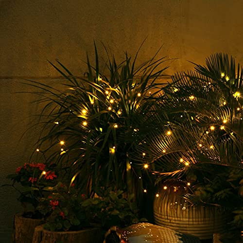 Solar String Lights 2 Pack, Outdoor Light Total 400 LED 144FT Solar Christmas Lights, 8 Modes Solar Lights Oudoor Waterproof for Tree Patio Yard Garden Christmas Parties Decoration (Warm White) - color: Warm White, size: 144ft
