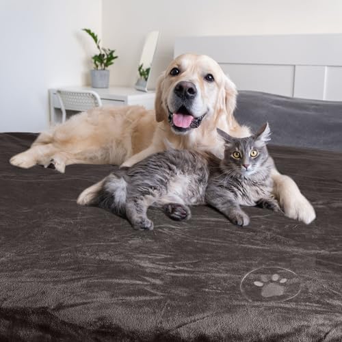 PETMAKER Dog Blanket - 80x100in Reversible Sherpa Blanket - Throw Blankets for Bed, Couch, or Car - Machine Washable Puppy Essentials (Charcoal) - color: Charcoal Gray, size: X-Large