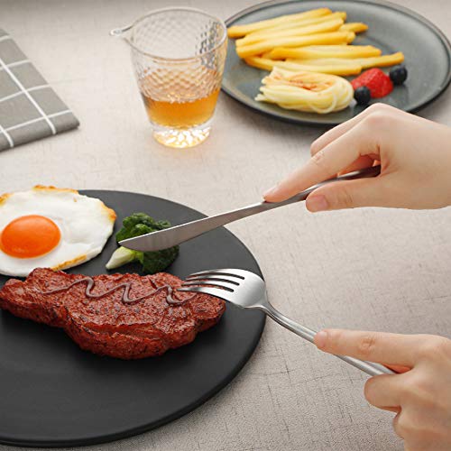 Devico Matte Silverware Set, 20-Piece 18/10 Stainless Steel Flatware Cutlery Utensils Tableware Set Service for 4, Great Gift for Friends/Family, Dishwasher Safe (4 sets, Silver-A)