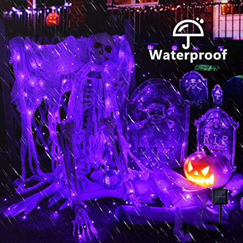 Brizled Halloween Fairy Lights, 2 Pack Total 78FT 240 LED Purple Fairy Lights, 8 Modes Solar Powered Purple Light, Twinkle Outdoor Halloween Light String for Outside Party Home Decor Black Wire - color: Purple