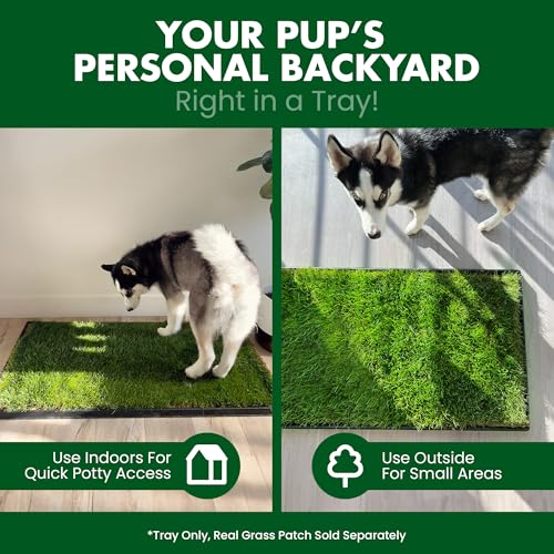 Fresh Patch Plastic Tray for XL Real Grass Pee and Potty Training Pads for Large Dogs and Multi-Dog Households – 4 ft x 2 ft Multi-Purpose and Reusable Crate Tray for Indoor and Outdoor Use