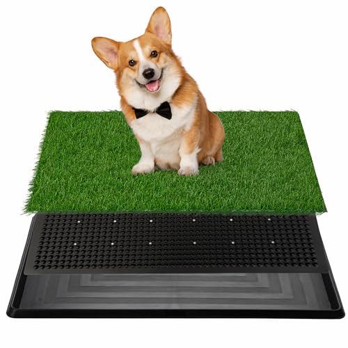 COZIWOW Grass Pad for Dogs with Tray, 30”×20” Large Grass Pad with Tray, Artificial for Indoor Potty, Washable Pet Loo Toilet for Balcony Apartment - size: L - 30x20x1.2 in