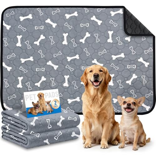 2 Pack Washable Pee Pads for Dogs, Reusable Puppy Pads, Absorbent & Leakproof Potty Pads for Dogs and Cats, Non-Slip Pet Training Pads for Whelping Playpen Crate, Gray 20"x28" - color: Gray, size: 20"x28"-2 Pack