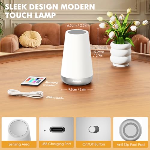 Auxmir Rechargeable LED Night Light, Touch & Remote Control Bedside Lamp with 13 Colors, 5 Brightness Levels, Portable Table Lamp for Kids Baby Nursery, Bedroom, Bathroom, Camping, Silver - color: Silver
